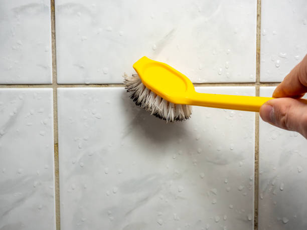  West Puente Valley, CA Mold Removal Pros