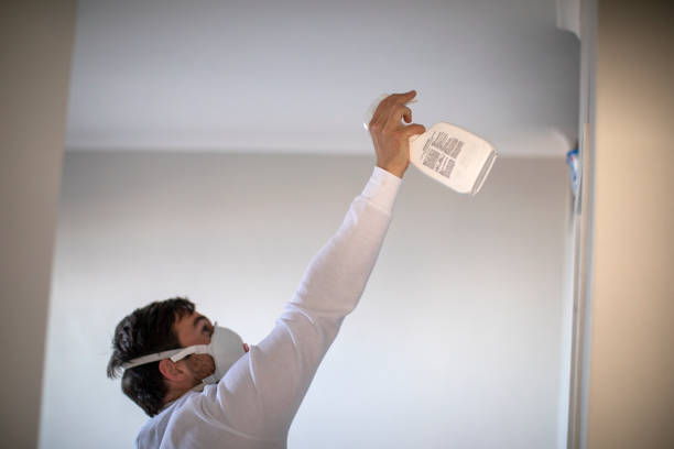 Best Basement Mold Remediation in West Puente Valley, CA