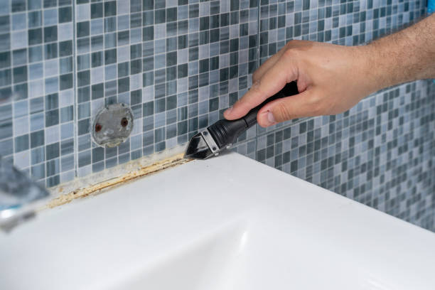 Best Bathroom Mold Remediation in West Puente Valley, CA