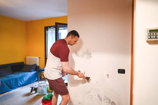 Best DIY Mold Remediation Support Services in West Puente Valley, CA